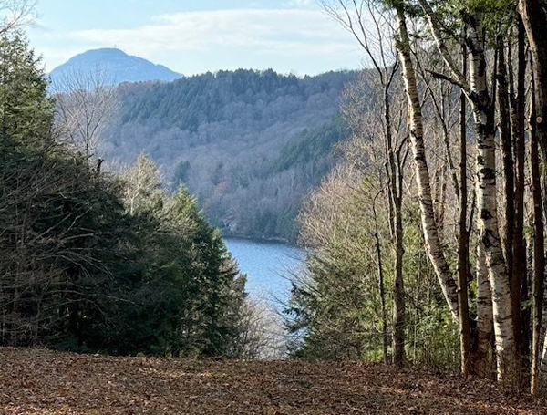 sentier bois lac