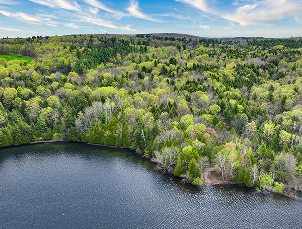 sentier bois lac