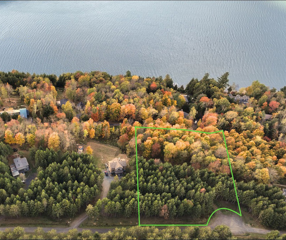 vue aérienne de deux terrains en bordure du lac Memphrémagog délimités par un tracé bleu foncé