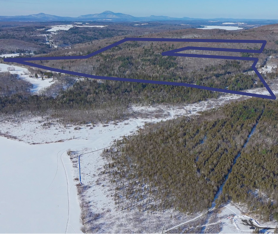 vue aérienne de deux terrains en bordure du lac Memphrémagog délimités par un tracé bleu foncé